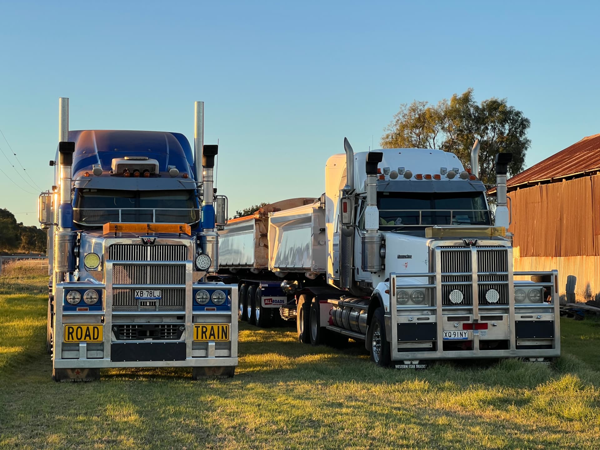 Conlan Contracting Western Star trucks at the depot
